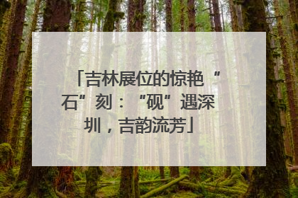 吉林展位的惊艳“石”刻：“砚”遇深圳，吉韵流芳