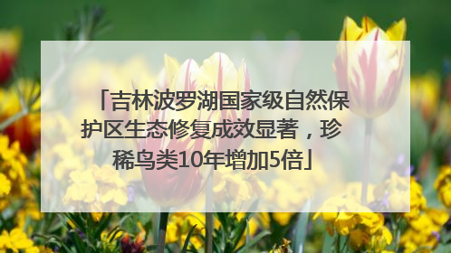 吉林波罗湖国家级自然保护区生态修复成效显著，珍稀鸟类10年增加5倍