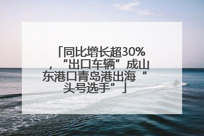同比增长超30%，“出口车辆”成山东港口青岛港出海“头号选手”