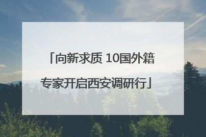 向新求质 10国外籍专家开启西安调研行