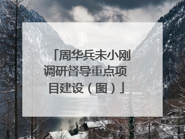 周华兵未小刚调研督导重点项目建设（图）