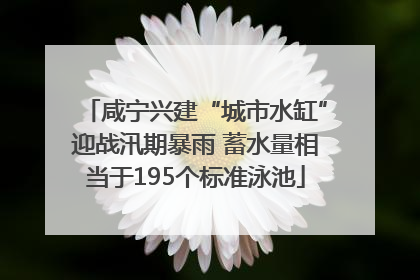 咸宁兴建“城市水缸”迎战汛期暴雨 蓄水量相当于195个标准泳池