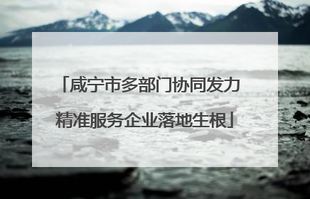 咸宁市多部门协同发力 精准服务企业落地生根