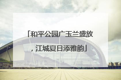 和平公园广玉兰盛放，江城夏日添雅韵
