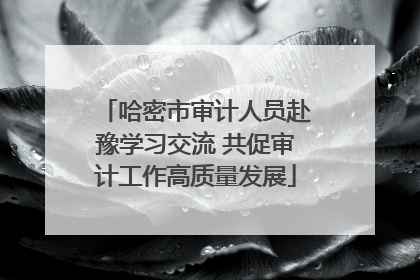 哈密市审计人员赴豫学习交流 共促审计工作高质量发展