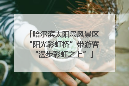 哈尔滨太阳岛风景区“阳光彩虹桥”带游客“漫步彩虹之上”