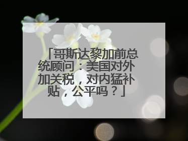 哥斯达黎加前总统顾问：美国对外加关税，对内猛补贴，公平吗？