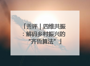 善评｜四维共振：解码乡村振兴的“齐鲁算法”