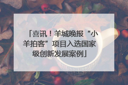 喜讯！羊城晚报“小羊拍客”项目入选国家级创新发展案例
