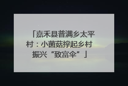 嘉禾县普满乡太平村：小菌菇撑起乡村振兴“致富伞”