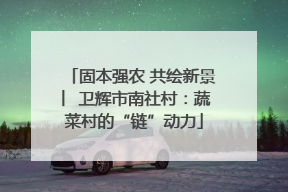 固本强农 共绘新景 ︳卫辉市南社村：蔬菜村的“链”动力