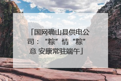 国网确山县供电公司：“粽”情“粽”意 安康常驻端午