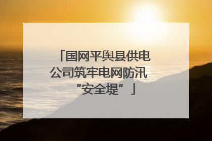 国网平舆县供电公司筑牢电网防汛“安全堤”