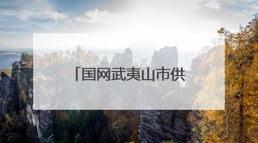 国网武夷山市供电公司：开展世界环境日主题宣传活动守护武夷山生态“高颜值”