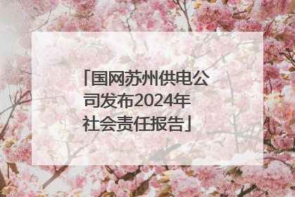 国网苏州供电公司发布2024年社会责任报告