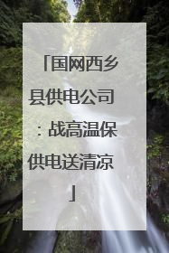 国网西乡县供电公司：战高温保供电送清凉