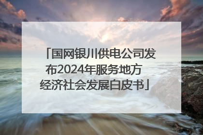 国网银川供电公司发布2024年服务地方经济社会发展白皮书