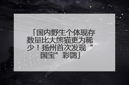 国内野生个体现存数量比大熊猫更为稀少！扬州首次发现“国宝”彩鹮