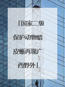 国家二级保护动物蜡皮蜥再现广西野外