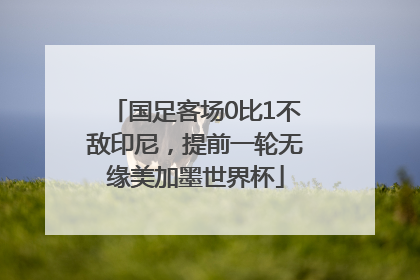 国足客场0比1不敌印尼，提前一轮无缘美加墨世界杯