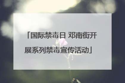 国际禁毒日 邓南街开展系列禁毒宣传活动