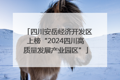 四川安岳经济开发区上榜“2024四川高质量发展产业园区”
