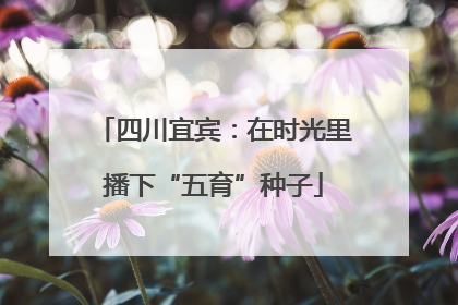 四川宜宾：在时光里播下“五育”种子
