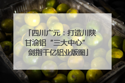 四川广元：打造川陕甘渝铝“三大中心” 剑指千亿铝业版图