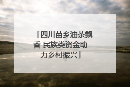 四川苗乡油茶飘香 民族类资金助力乡村振兴