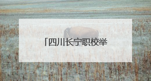 四川长宁职校举办2025年职教活动周之第六届班主任节活动