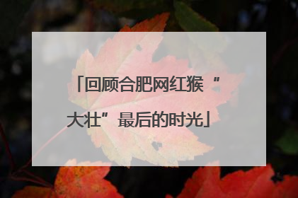 回顾合肥网红猴“大壮”最后的时光