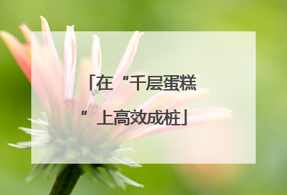 在“千层蛋糕”上高效成桩