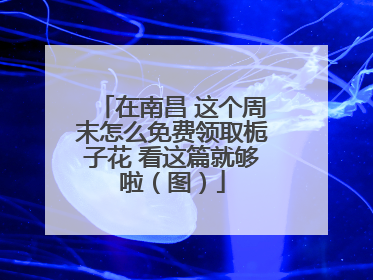 在南昌 这个周末怎么免费领取栀子花 看这篇就够啦（图）