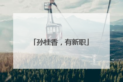 孙桂香，有新职