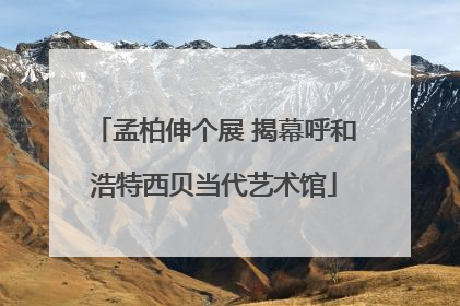 孟柏伸个展 揭幕呼和浩特西贝当代艺术馆