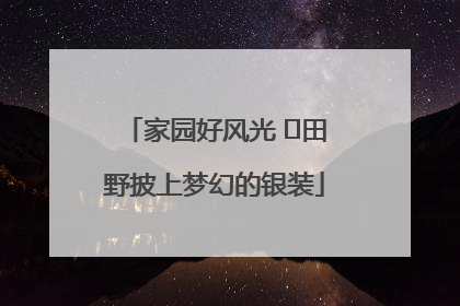 家园好风光 ⎮田野披上梦幻的银装