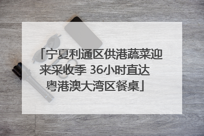 宁夏利通区供港蔬菜迎来采收季 36小时直达粤港澳大湾区餐桌