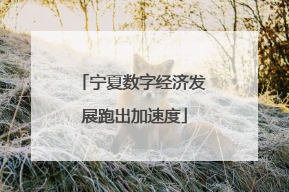 宁夏数字经济发展跑出加速度