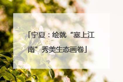 宁夏：绘就“塞上江南”秀美生态画卷