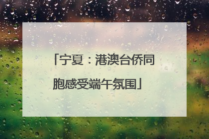 宁夏：港澳台侨同胞感受端午氛围