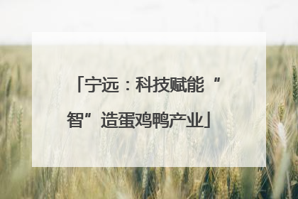 宁远：科技赋能“智”造蛋鸡鸭产业