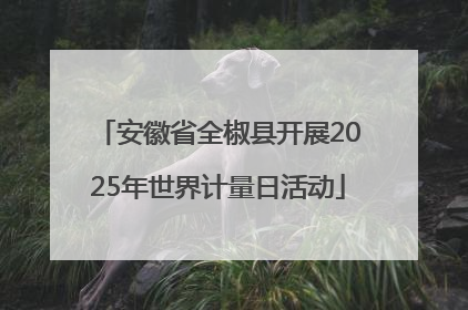 安徽省全椒县开展2025年世界计量日活动