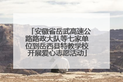 安徽省岳武高速公路路政大队等七家单位到岳西县特教学校开展爱心志愿活动