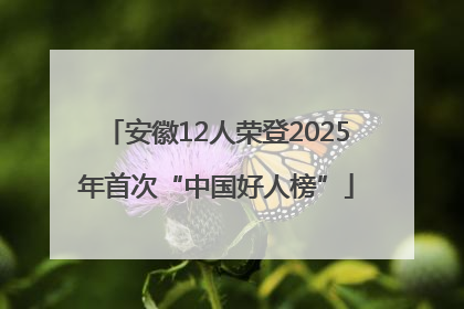 安徽12人荣登2025年首次“中国好人榜”