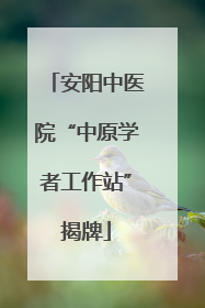 安阳中医院“中原学者工作站”揭牌