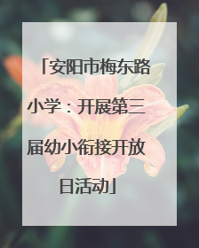 安阳市梅东路小学：开展第三届幼小衔接开放日活动