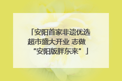 安阳首家非遗优选超市盛大开业 志做“安阳版胖东来”