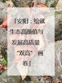 安阳：绘就生态高颜值与发展高质量 “双高” 画卷