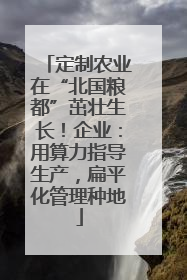 定制农业在“北国粮都”茁壮生长！企业：用算力指导生产，扁平化管理种地
