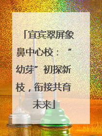 宜宾翠屏象鼻中心校：“幼芽”初探新枝，衔接共育未来